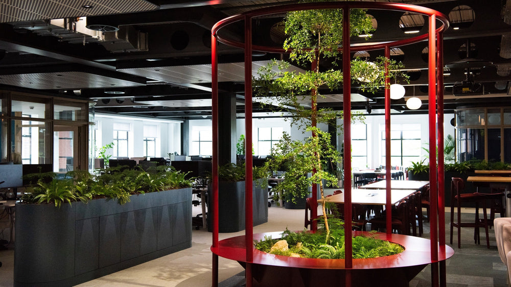 Office Planting & Maintenance London