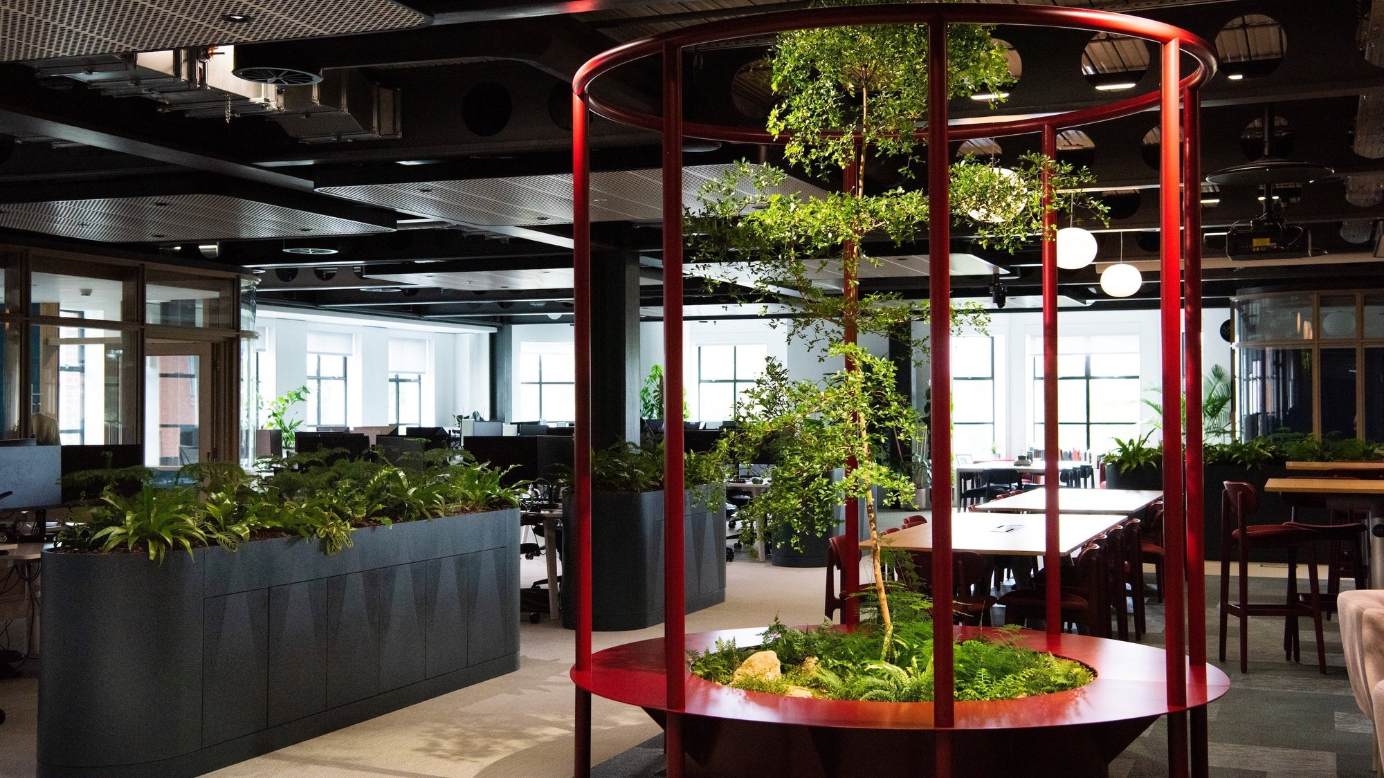 Office Planting & Maintenance London