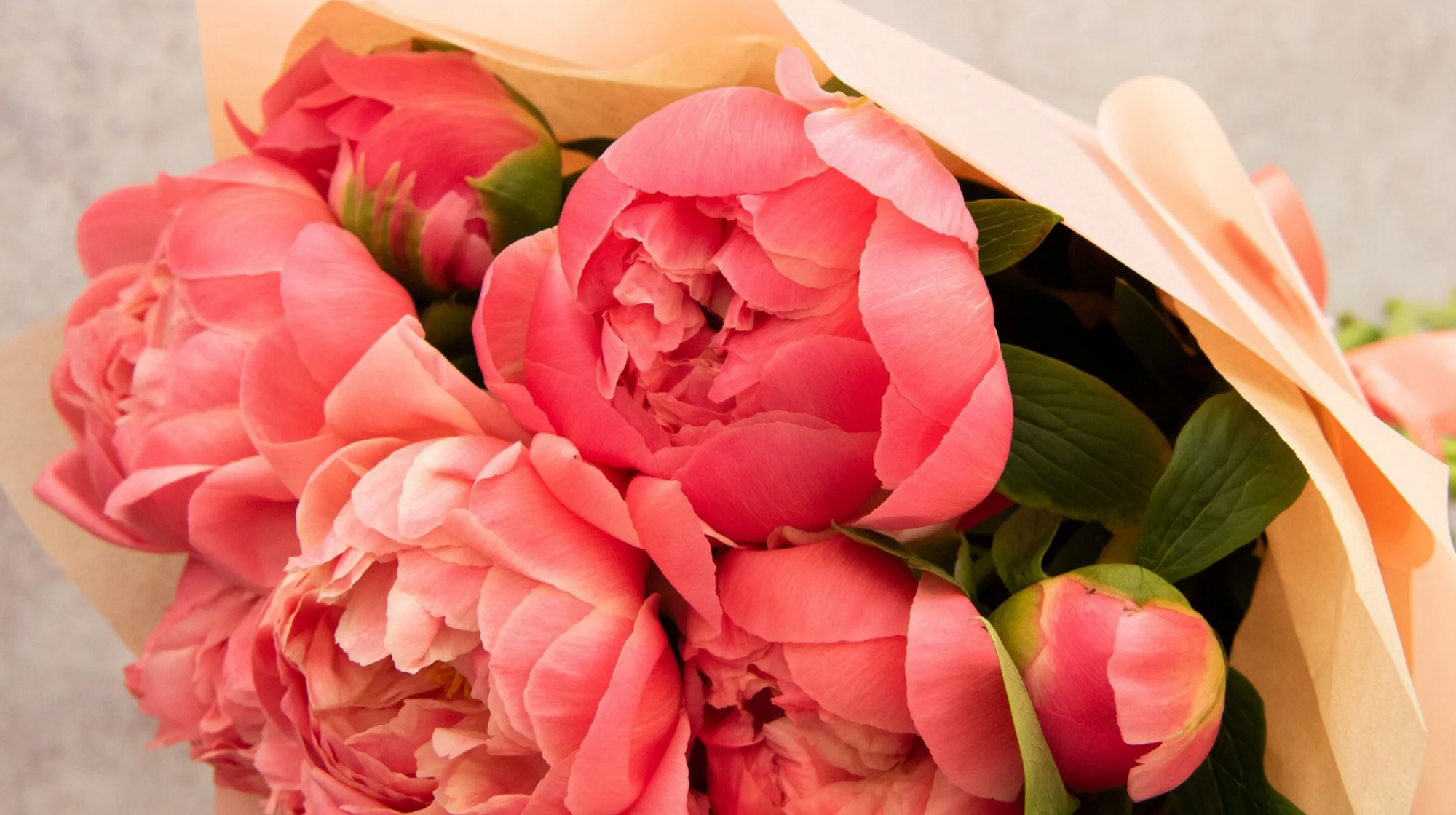 pink peonies
