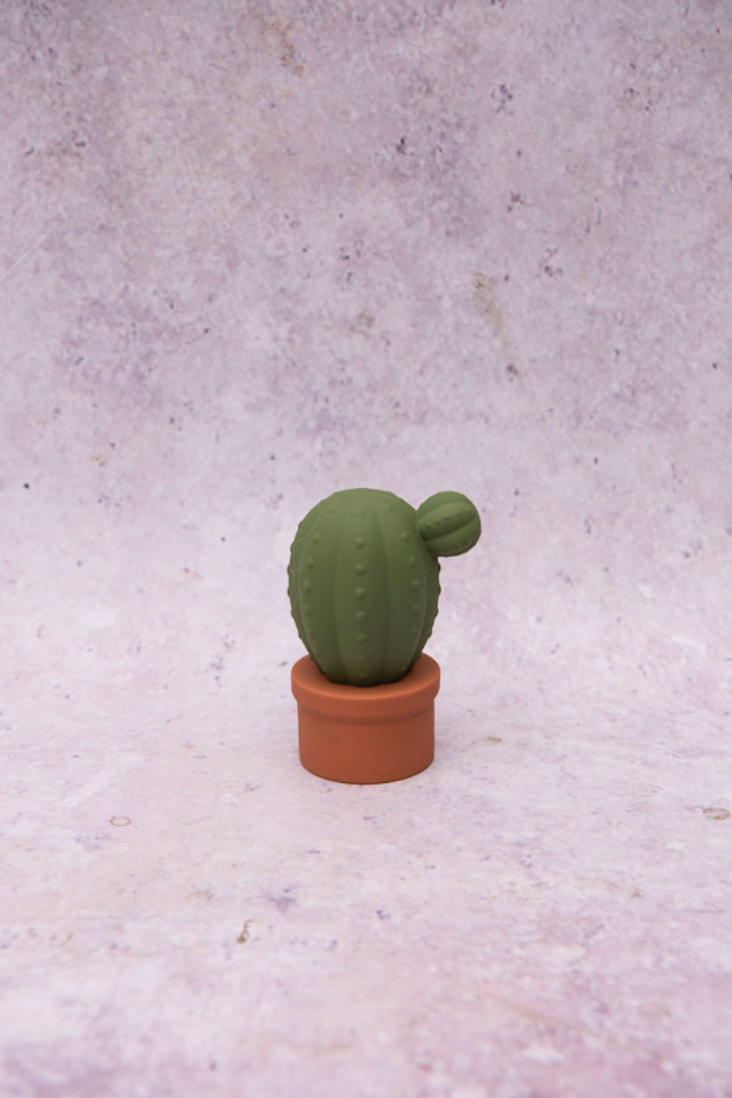 Cactus love vibes