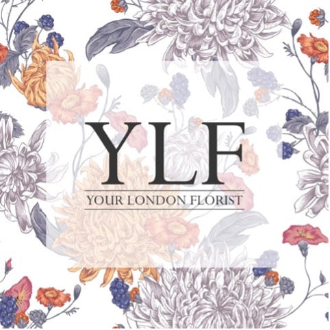 YLF GIFT CARD